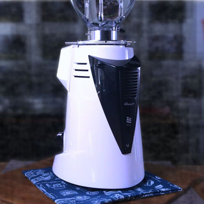 Fiorenzato F64Evo Coffee Bean Grinder for cafe , white color , front view